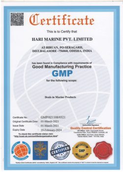 GMP CERTIFICATE